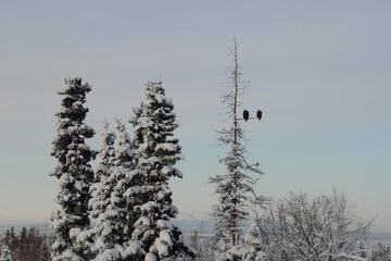 Hotel Interior 4 of 26