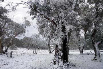 Surroundings