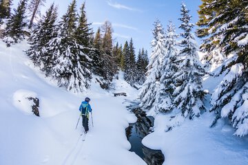 Skiing