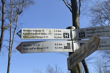 Hiking