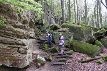 Hiking