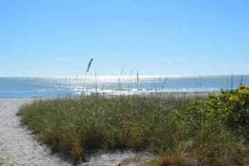 Surrounding environment