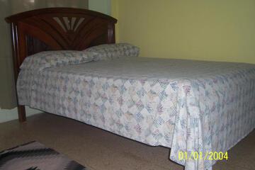 Photo 50