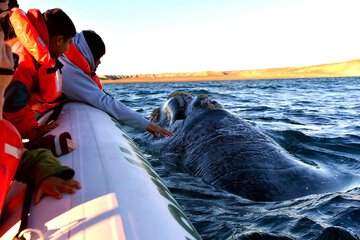 Boating