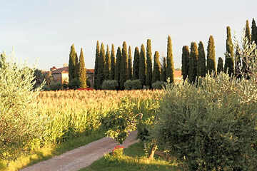 Photo 46