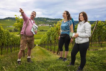 Winery