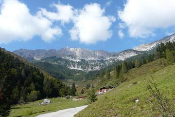 Photo 35