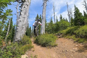 Bicycling