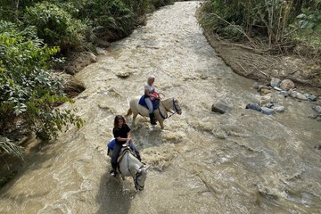 Ecotours