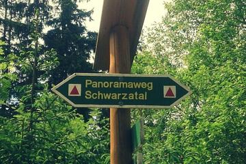 Ecotours
