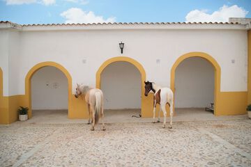 Horseback riding
