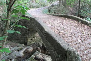 Photo 33