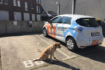 Pet-friendly