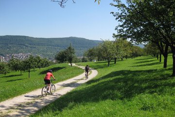 Bicycling