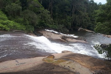 Ecotours