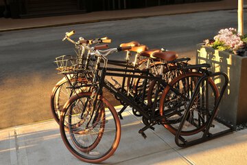 Outdoor Activities 143 of 143