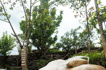 Natural pool