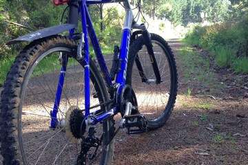 Bicycling