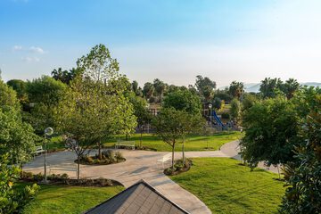 Garden view