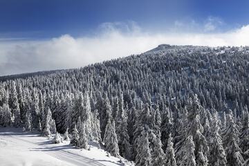 Mountain view