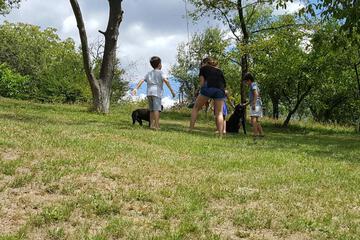 Photo 24