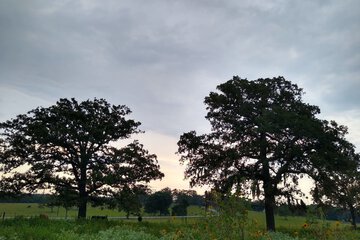 Land view from property