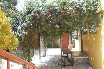 Photo 34