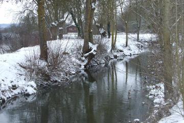 Photo 27