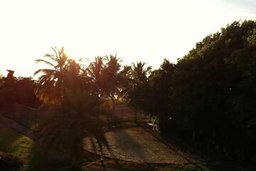 Photo 37