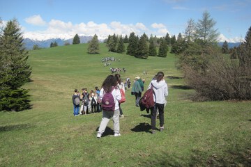Hiking