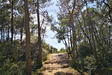 Hiking