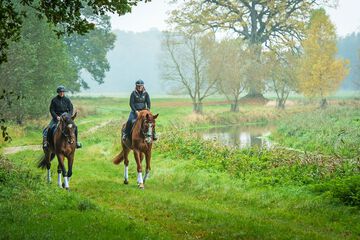 Horseback riding