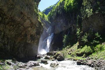 Photo 51