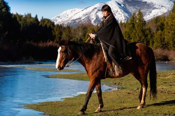 Horseback riding