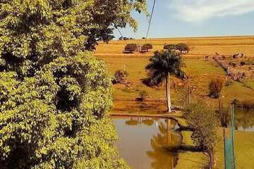 Ziplining