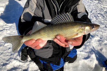 Fishing