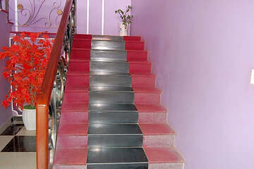 Photo 47