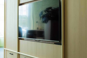 Television