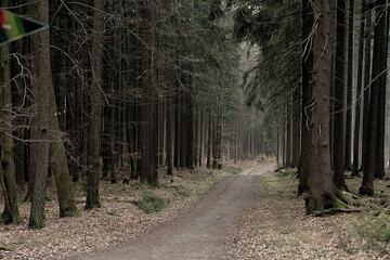 Hiking