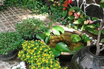 Photo 24