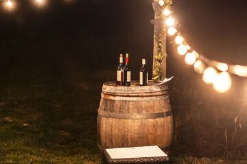 Vineyard