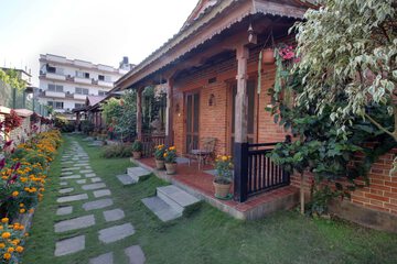 Garden view
