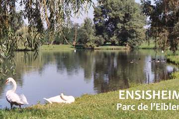 Ecotours