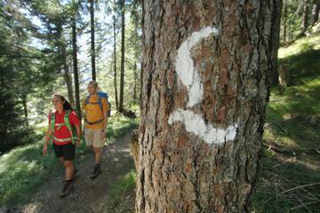 Hiking