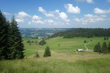 Hiking