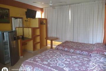 Photo 22