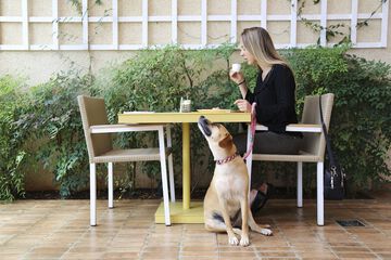 Pet-friendly