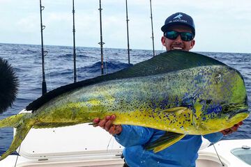 Children's activities