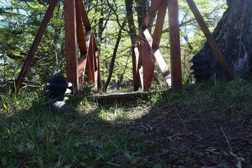 Ecotours