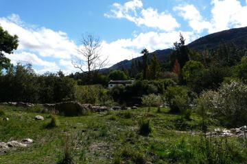 Photo 46